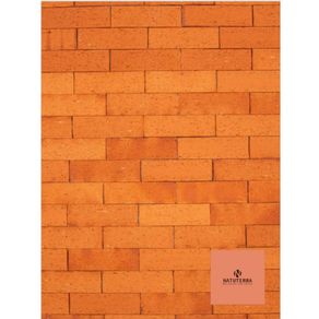 Revestimento-Natuterra-Brick-Siena-8x225x15--Cx057--38