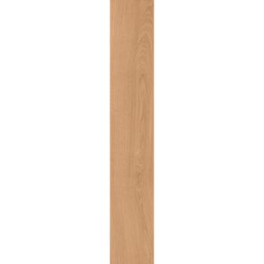 INC08FG0006